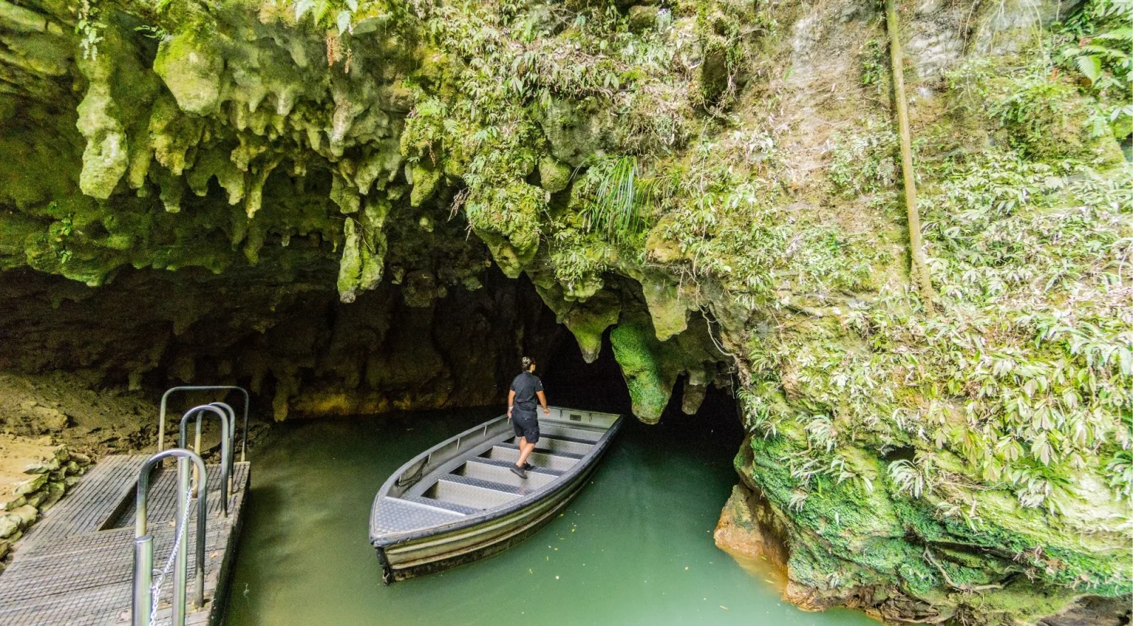 Ruakuri Cave's dramatic spiral walkway descending into the limestone cave chamber
