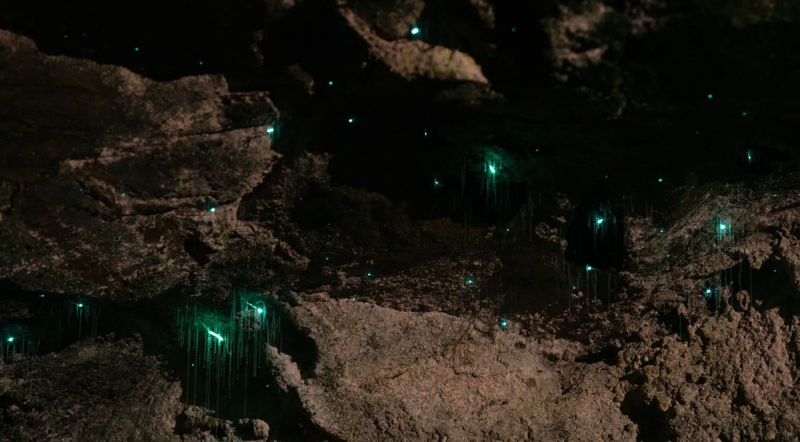 Tourist exploring the entrance walkway into Waitomo Glowworm Caves before the boat tour