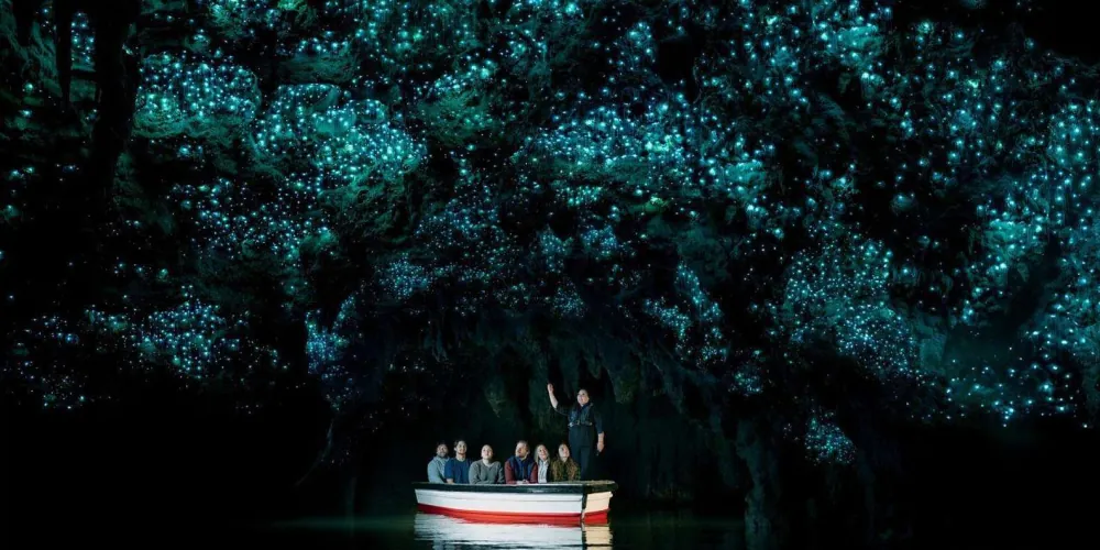 Silhouetted tourists on a flat-bottomed boat drifting through the Waitomo Glowworm Grotto