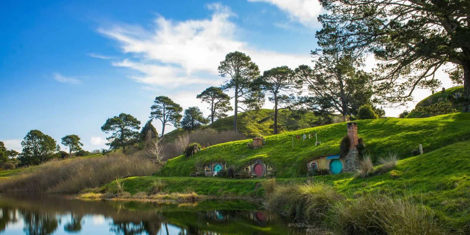 From Auckland: Hobbiton & Waitomo Caves Day Trip with Lunch