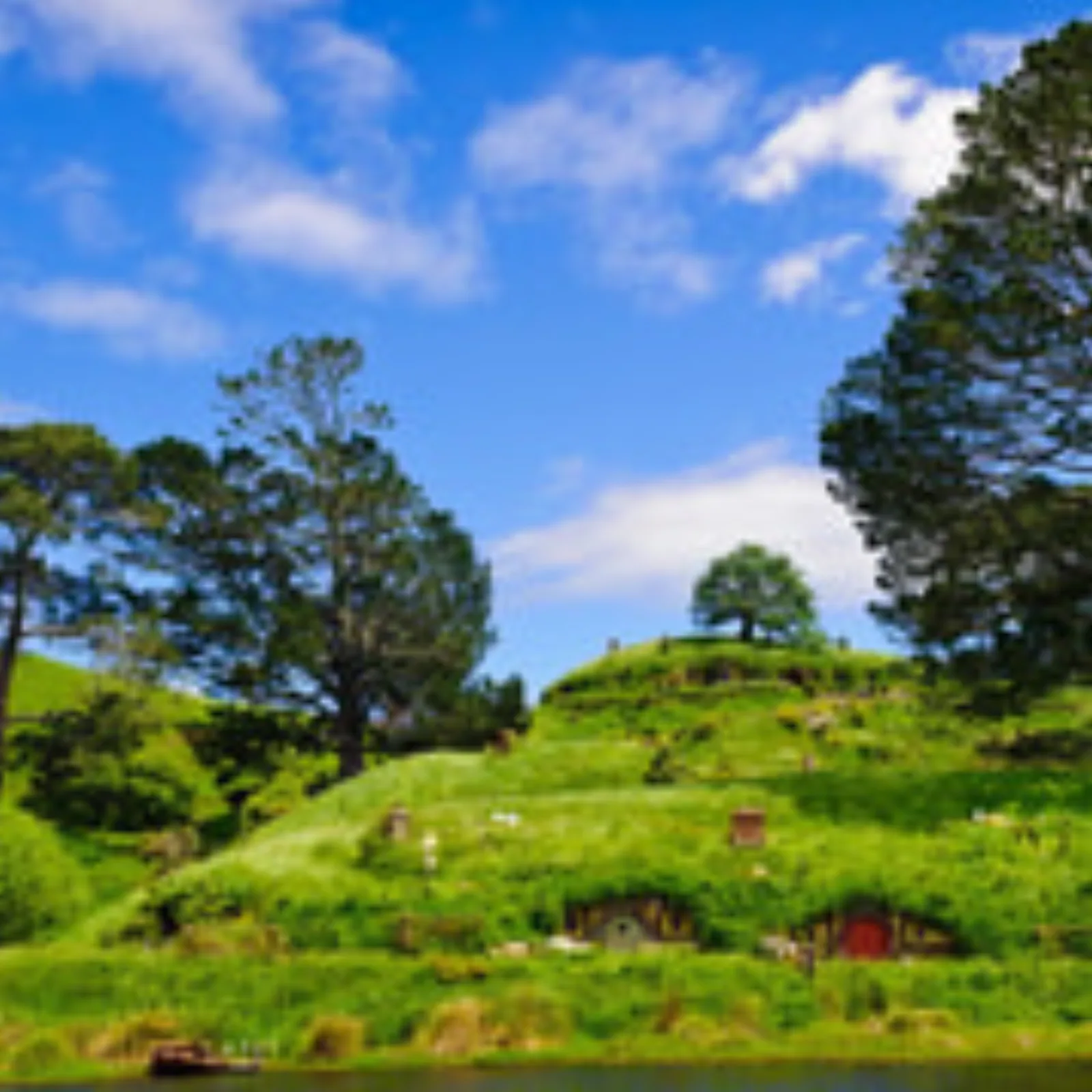 From Auckland: Waitomo & Hobbiton Coach Tour with Lunch
