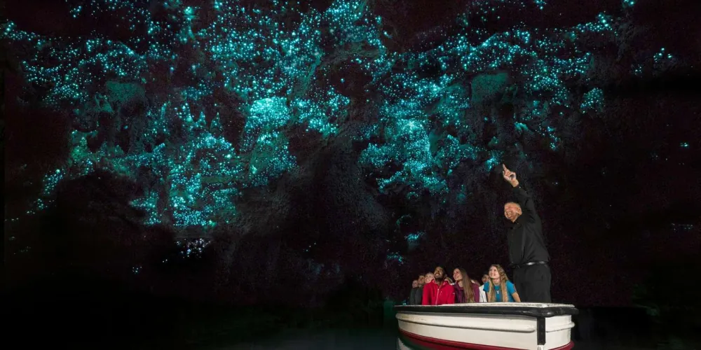 Waitomo tour photo 1