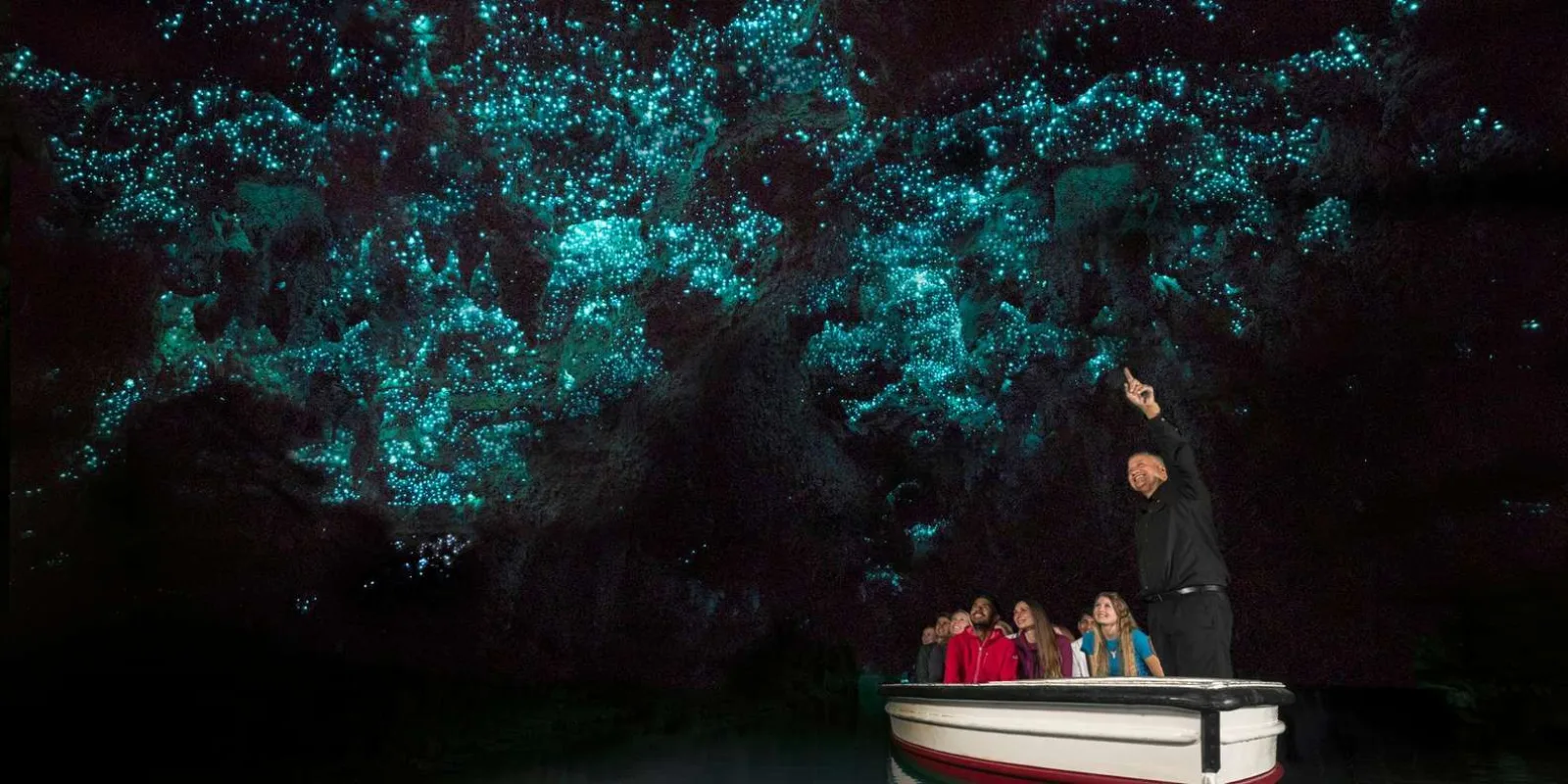 From Auckland: Day Trip to Waitomo Glow Worm Caves