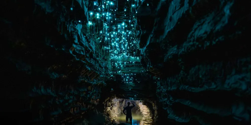 Waitomo tour photo 2