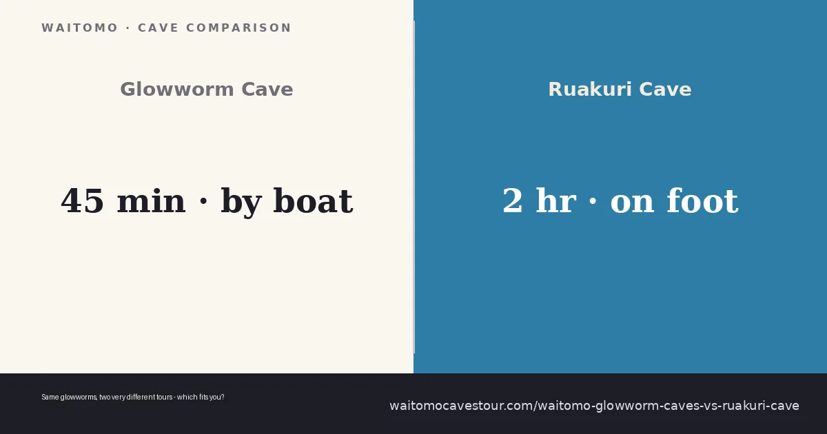 Split comparison: Waitomo Glowworm Cave boat on underground river vs Ruakuri Cave spiral walkway