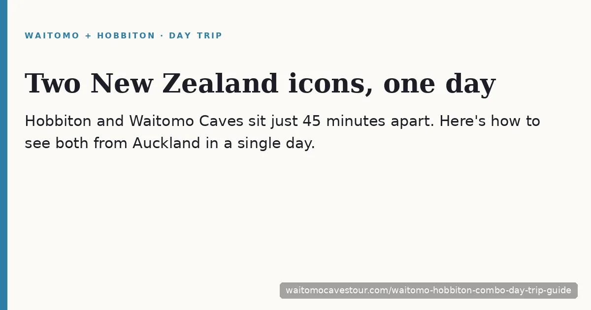 Hobbiton Movie Set green hillside with hobbit holes, the perfect pairing with Waitomo Caves